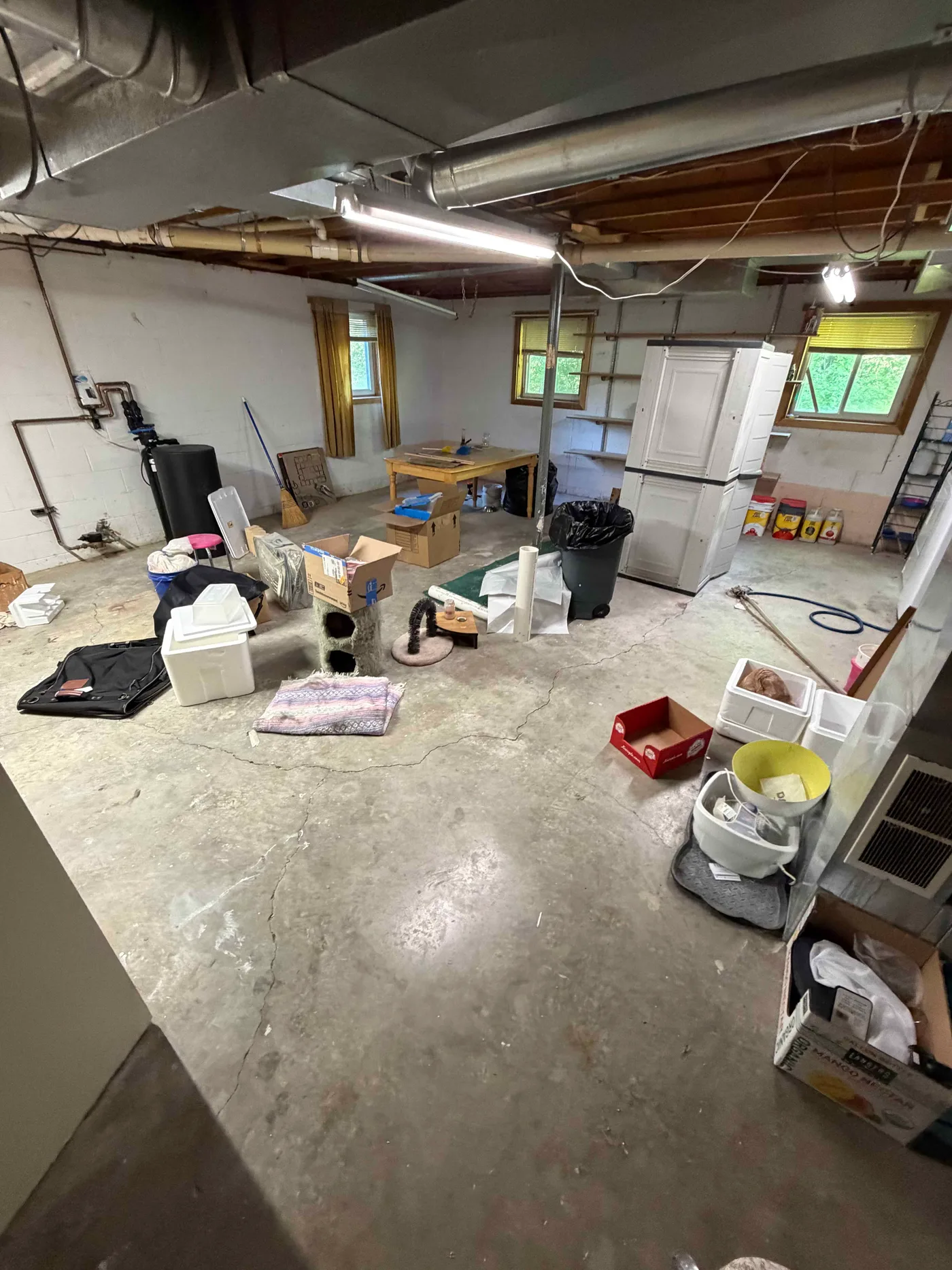 Before cleanup